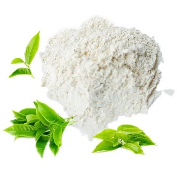 EGCG powder1
